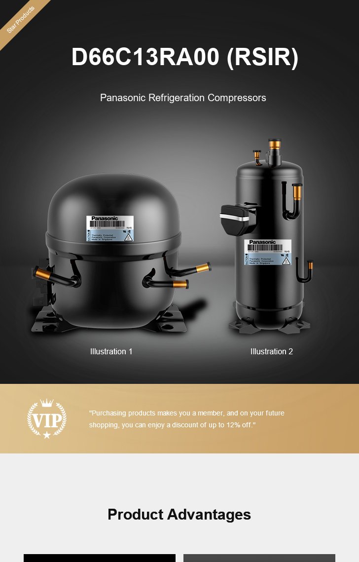 Panasonic Compressor D66C13RA00 (RSIR), technical parameters pdf, structure diagram